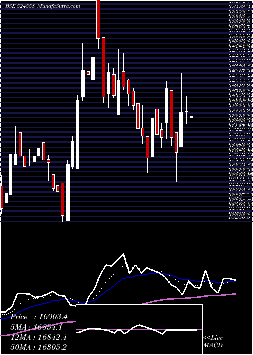  Daily chart NeulandLab