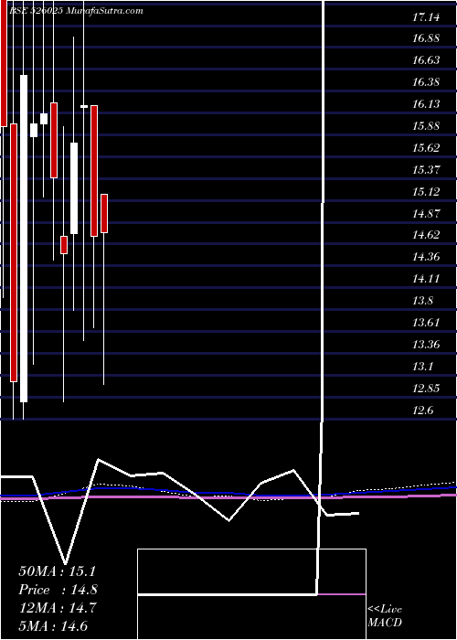  monthly chart GlobusCon