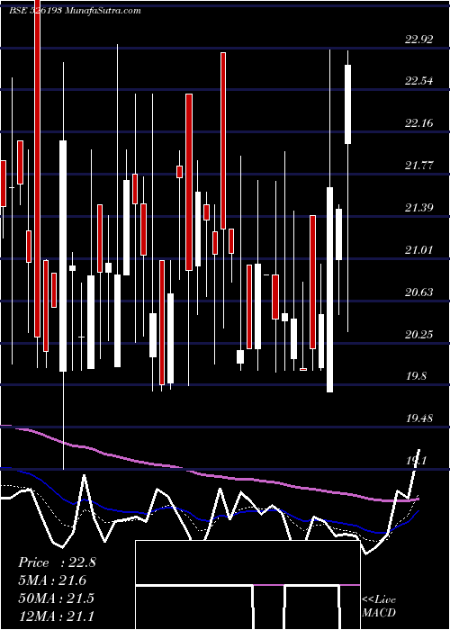  Daily chart RoyalCushio
