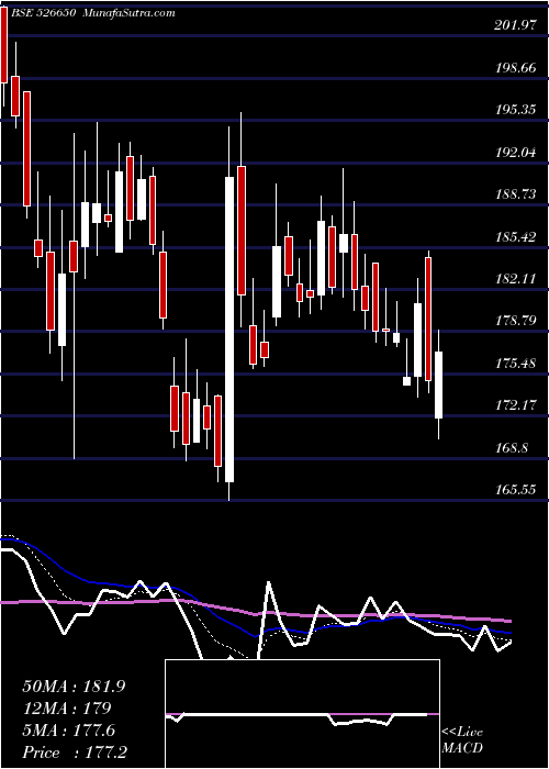  Daily chart TOURISM FINA