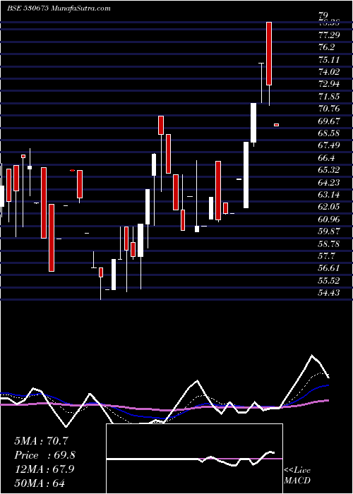  Daily chart YorkExports