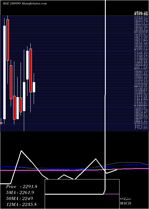  monthly chart BalajiAmine