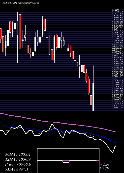  Daily chart ShilcharTec