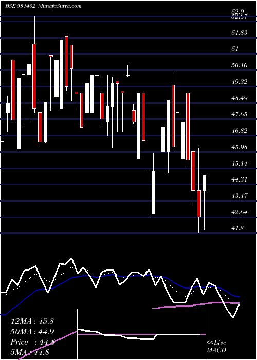  Daily chart LWS KNITWEAR