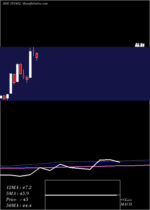  monthly chart LwsKnitwear