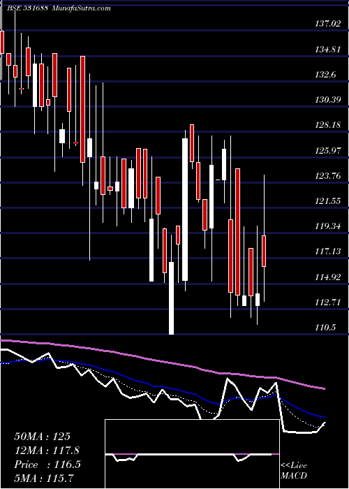  Daily chart Prithviexch