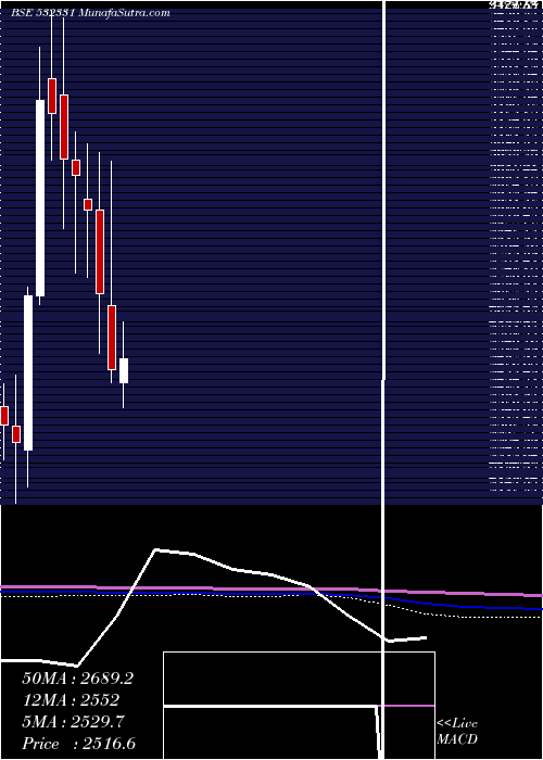  monthly chart AjantaPharm