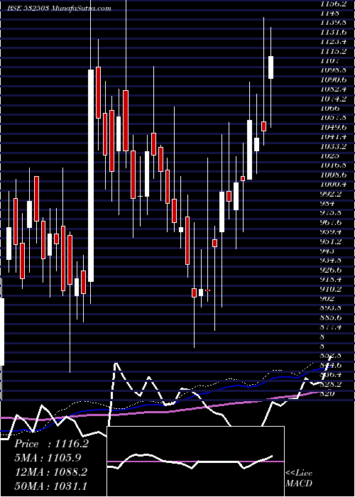  weekly chart Rajapamills