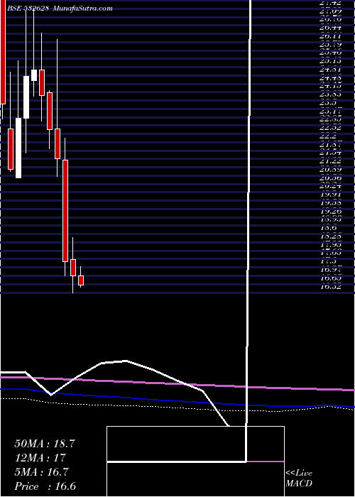  monthly chart 3iInfotech