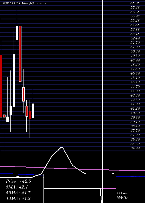  monthly chart BhilwraTec