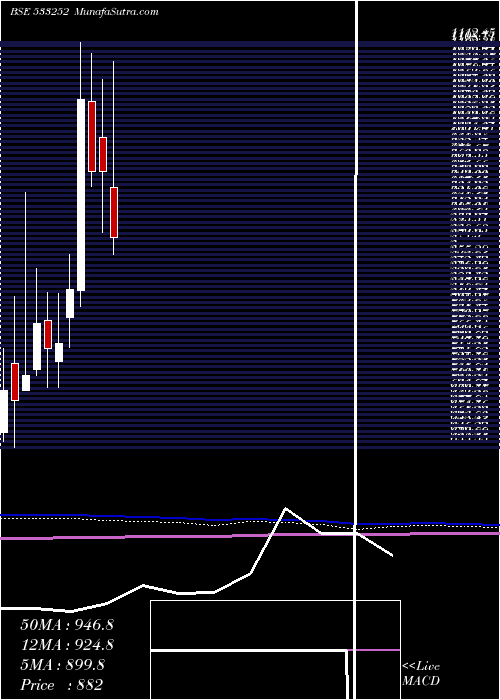  monthly chart WelspunInv