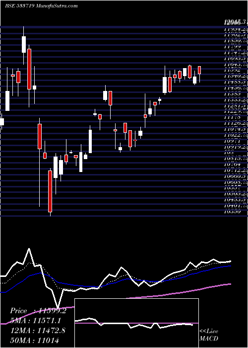  Daily chart Idbigold