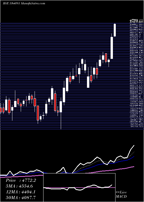  Daily chart MCX LTD