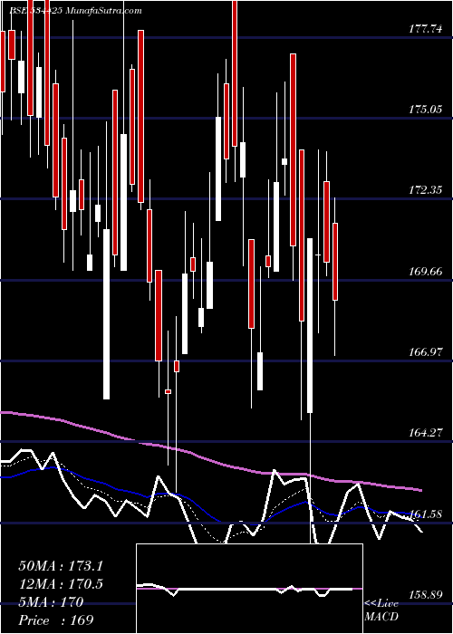  Daily chart SpecialityR