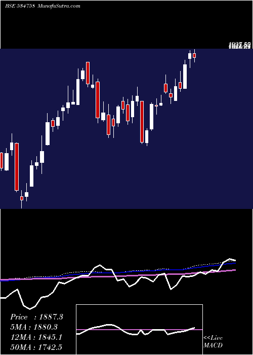  weekly chart CignitiTech