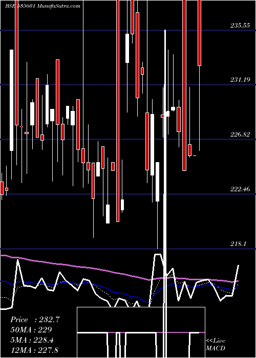  Daily chart Sreeleather