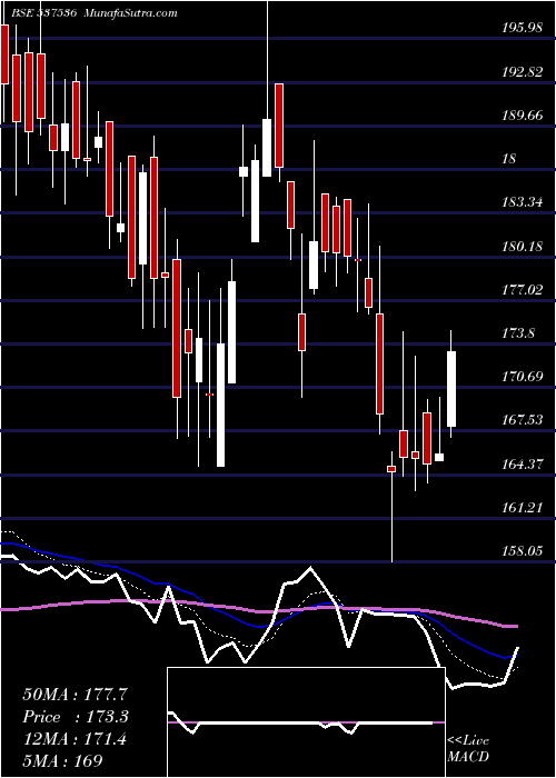  Daily chart DenisChem