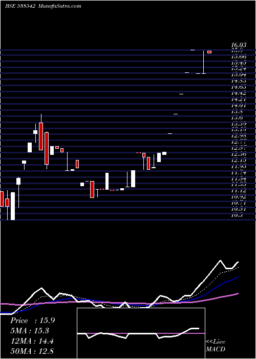  Daily chart GOLDCOINHF