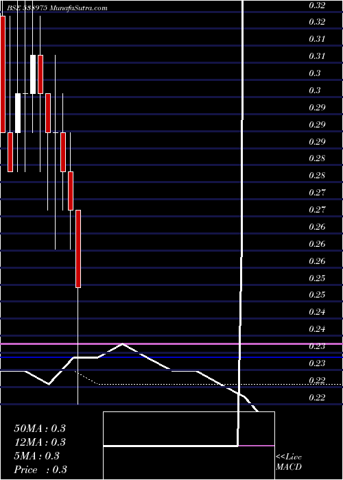  monthly chart Shreesec