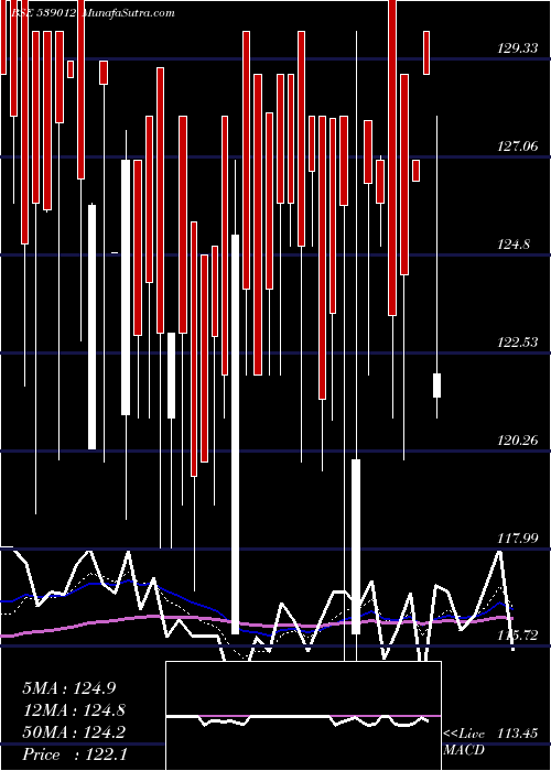  Daily chart MEGRISOFT