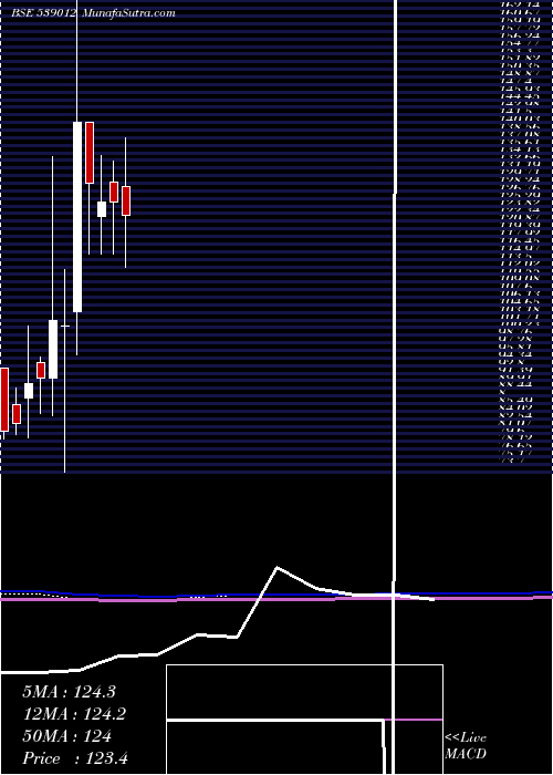  monthly chart Megrisoft