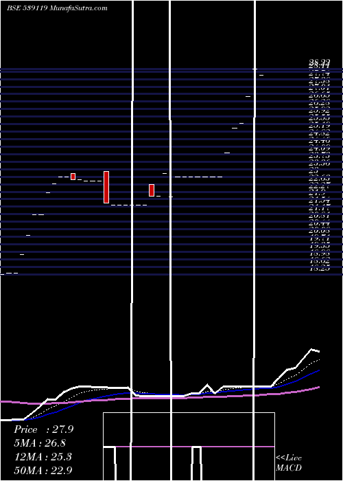  Daily chart JAINMARMO