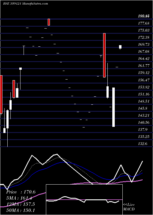  Daily chart Palco