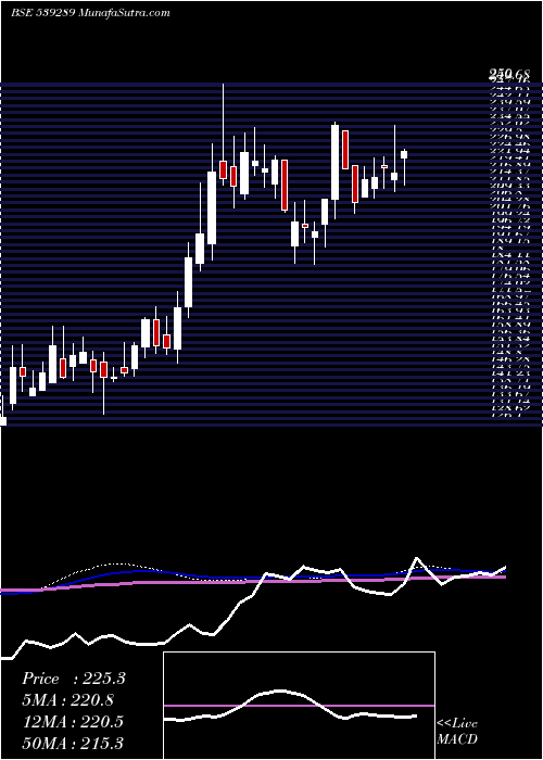  weekly chart Mjco