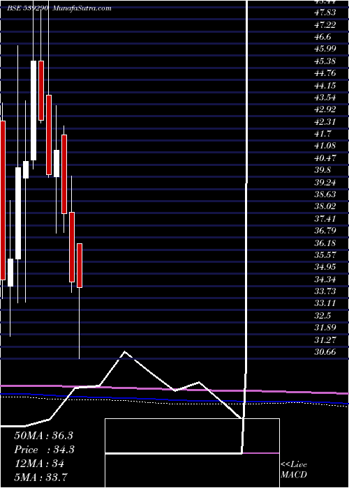  monthly chart Bindalagro