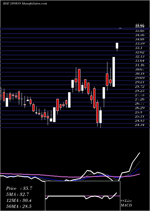  Daily chart PRITIKAUTO