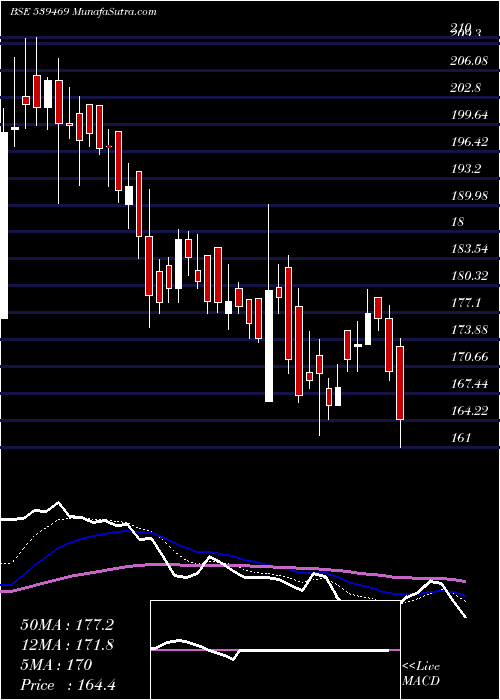  Daily chart PANORAMA