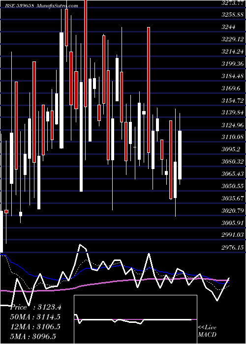  Daily chart Teamlease