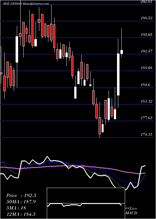  Daily chart Paragmilk