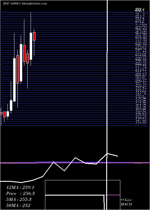  monthly chart Bigbloc