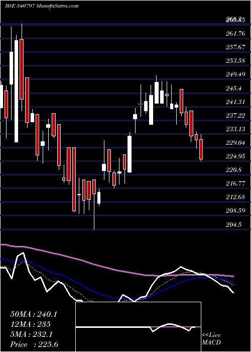  Daily chart Shalby