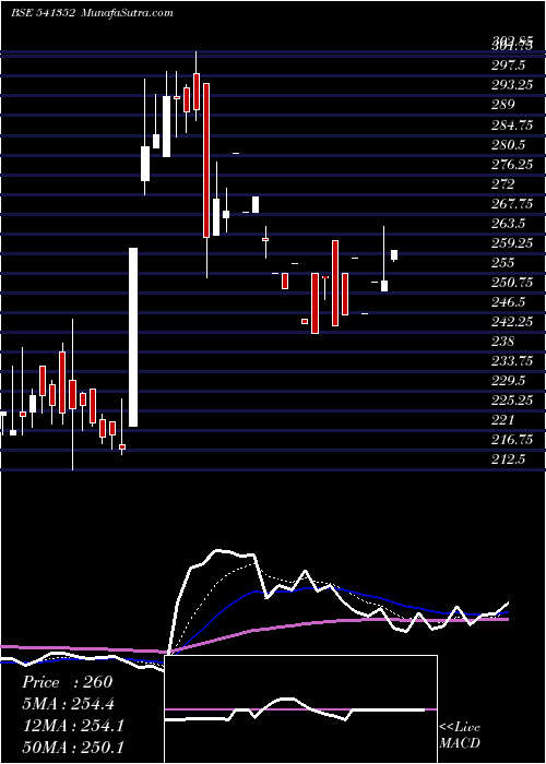  Daily chart Megastar