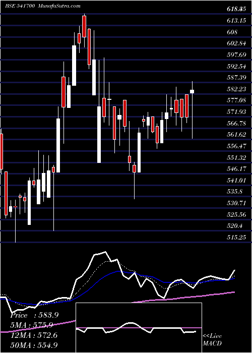  Daily chart TCNSBRANDS