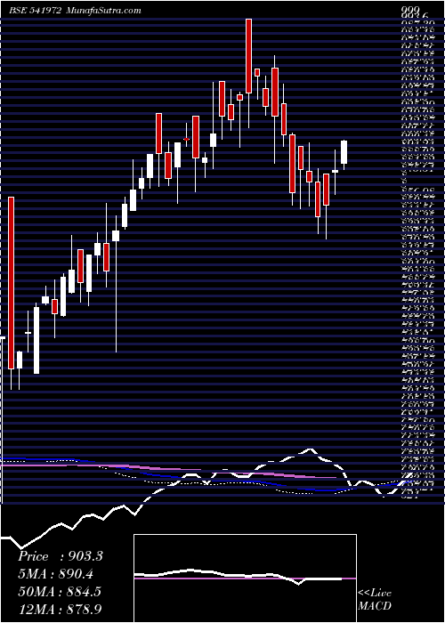  weekly chart Setfsn50