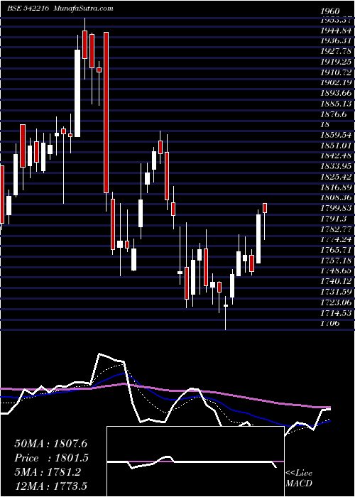  Daily chart Dalbharat