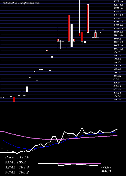  Daily chart MISQUITA