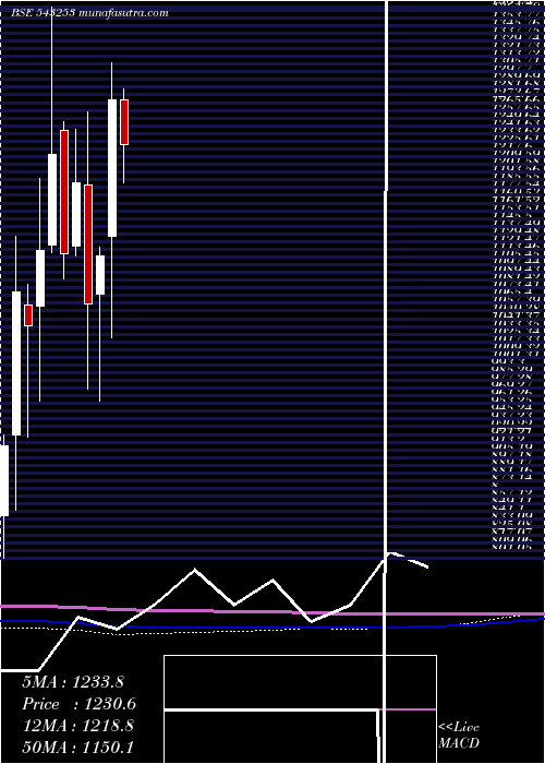  monthly chart Bectorfood