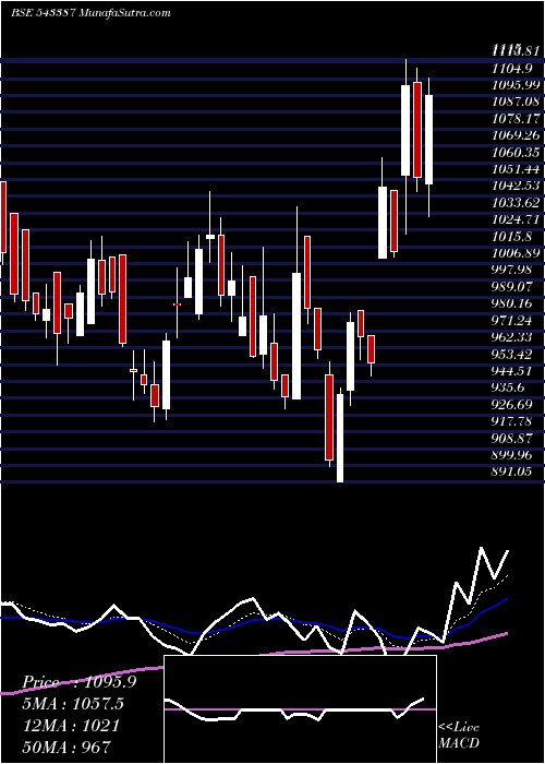  Daily chart SJS