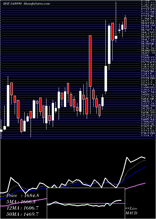  Daily chart POLICYBZR