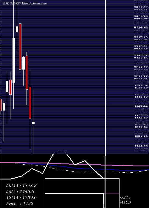  monthly chart Mapmyindia