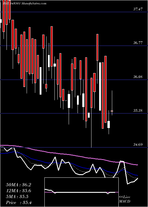  Daily chart MOLOWVOL