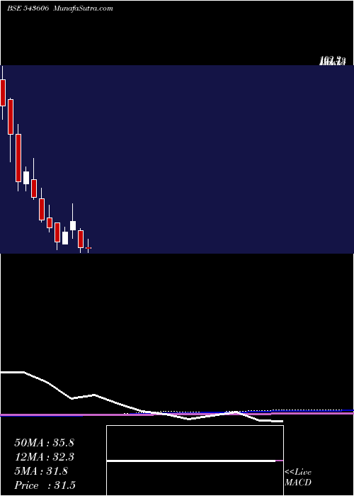  monthly chart Containe