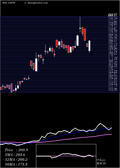  Daily chart Southwest