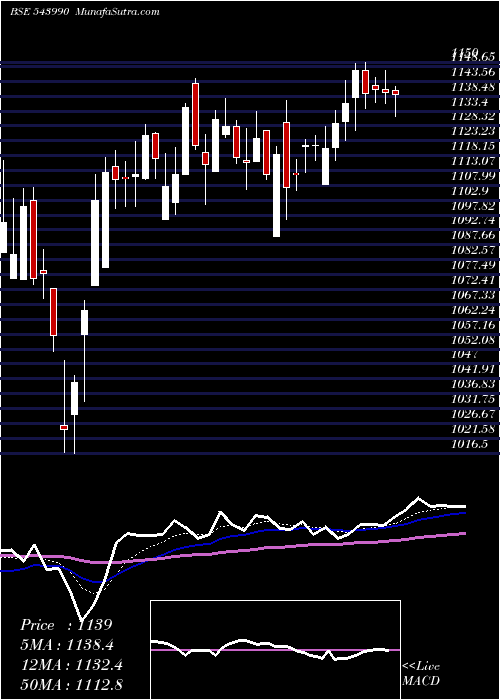  Daily chart Signature