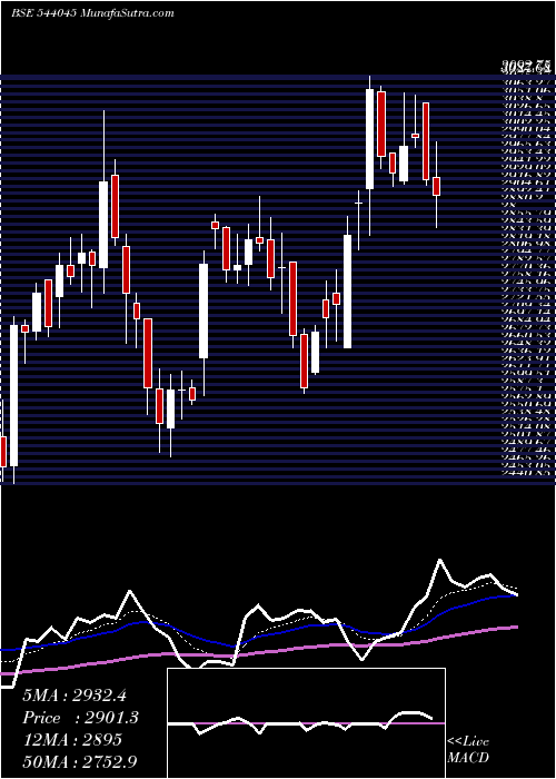  Daily chart DOMS