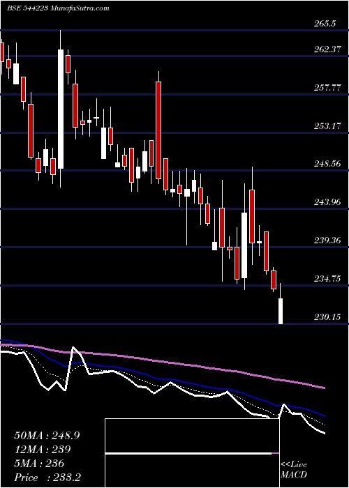  Daily chart CeigallIndia